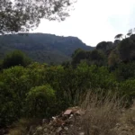 La Magdalena - Font de la Salut - La Magdalena 32 2019 07 04 18 02 16 pacom 1 La Magdalena - Font de la Salut - La Magdalena