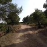 La Magdalena - Font de la Salut - La Magdalena 33 2019 07 04 18 20 23 pacom 1 La Magdalena - Font de la Salut - La Magdalena