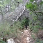 Vilafamés - Ermita de Sant Miquel - Vilafamés 7 2019 09 07 11 09 06 paco Vilafamés - Ermita de Sant Miquel - Vilafamés