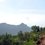 Desert de les Palmes - Bartolo - Pla de Muletes - Font de Sant Josep - Desert de les Palmes 16 2019 09 22 11 12 05 paco P Desert de les Palmes - Bartolo - Pla de Muletes - Font de Sant Josep - Desert de les Palmes