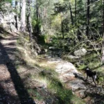 Barranc de la Pegunta
