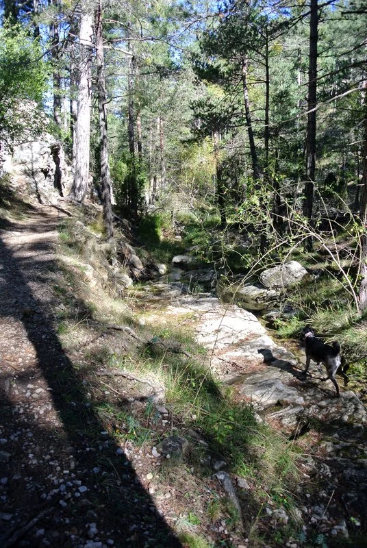 Barranc de la Pegunta