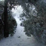 2009 01 11 11 46 36