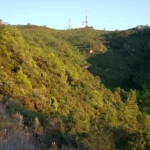 5 2011 09 04 19 51 58 paco