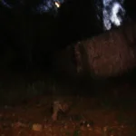 12 2011 09 04 21 04 45 paco