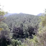 2012 05 27 12 38 11 paco