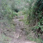 7 2019 11 17 09 40 04 paco