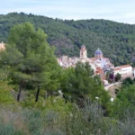 14 Sueras