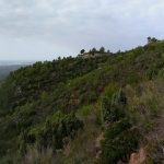 Desert de les Palmes - Coll de la Mola - Bartolo - Desert de les Palmes 62 2018 08 26 09 43 06 pacom P scaled Desert de les Palmes - Coll de la Mola - Bartolo - Desert de les Palmes