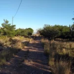 2019 12 08 16 04 17 pacom