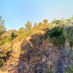 Benicàssim - Els Tres Barrancs - Corvaxos - Benicàssim 4 2019 12 21 08 51 16 paco P scaled Benicàssim - Els Tres Barrancs - Corvaxos - Benicàssim