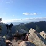 2019 12 22 12 04 58 paco