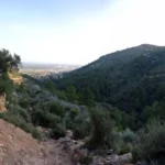 2019 12 30 15 54 22 paco P Castellón - Vilafamés