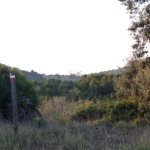 9 2019 12 30 17 05 37 paco