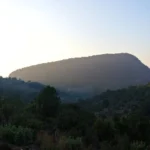 11 2019 12 30 17 20 35 paco