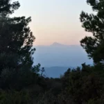 12 2019 12 30 17 36 15 paco