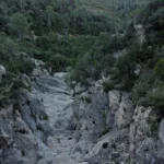 2020 01 11 09 44 00 paco