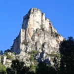 2020 01 11 09 52 51 paco