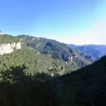 2020 01 11 10 56 22 paco P