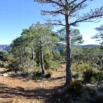 2020 01 11 12 22 53 paco