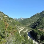 2020 01 11 12 46 29 paco