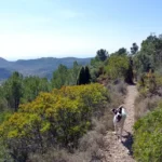 2014 05 01 11 20 05 paco