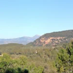 Borriol - la Pedra - roca de la Dama - Borriol 40 2020 02 23 09 18 51 paco P Borriol - la Pedra - roca de la Dama - Borriol