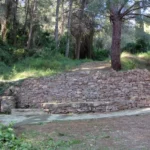 2020 03 01 11 47 43 paco
