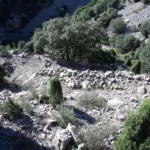 7 2012 10 28 10 37 03