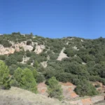 8 2012 10 28 10 43 31 p