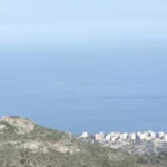 2013 06 24 20 16 30 paco 2013 06 24 20 17 46 paco