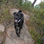 15 2014 01 11 11 47 07 paco