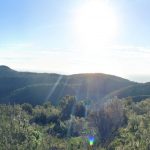 Corral de Miravet - Castell de Miravet - Corral de Miravet 15 2018 11 25 09 22 50 paco P scaled Corral de Miravet - Castell de Miravet - Corral de Miravet