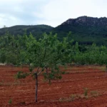 Vilafamés - Cova del Bolimini - Vilafamés 6 2019 06 09 09 58 10 paco P Vilafamés - Cova del Bolimini - Vilafamés