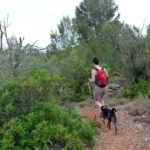 Vilafamés - Cova del Bolimini - Vilafamés 8 2019 06 09 10 10 45 paco Vilafamés - Cova del Bolimini - Vilafamés