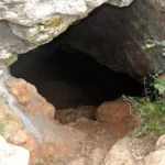 5 2019 06 09 11 01 48 paco