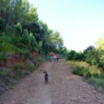 2020 09 05 10 37 13 paco