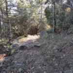 2020 12 22 12 52 05 pacom