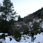 2021 01 16 09 11 19 paco Intento frustrado por el exceso de nieve