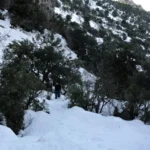 2021 01 16 09 56 13 paco Intento frustrado por el exceso de nieve