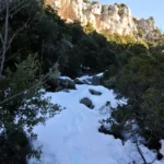 2021 01 16 10 34 21 paco Intento frustrado por el exceso de nieve