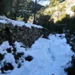 2021 01 16 11 14 21 paco Intento frustrado por el exceso de nieve
