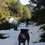 2021 01 16 11 24 01 paco Intento frustrado por el exceso de nieve