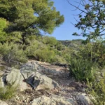 Borriol - la Pedra - roca de la Dama - Borriol 22 2021 03 28 09 36 30 pacom Borriol - la Pedra - roca de la Dama - Borriol