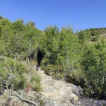Borriol - la Pedra - roca de la Dama - Borriol 23 2021 03 28 09 40 43 pacom Borriol - la Pedra - roca de la Dama - Borriol