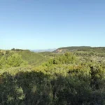 Borriol - la Pedra - roca de la Dama - Borriol 25 2021 03 28 10 05 56 pacom Borriol - la Pedra - roca de la Dama - Borriol
