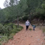 2021 04 04 10 42 54 paco