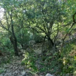 2021 06 12 09 20 52 paco