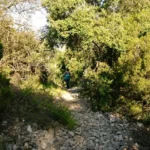 2021 06 12 09 22 56 paco