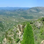 2021 06 12 11 26 38 paco P